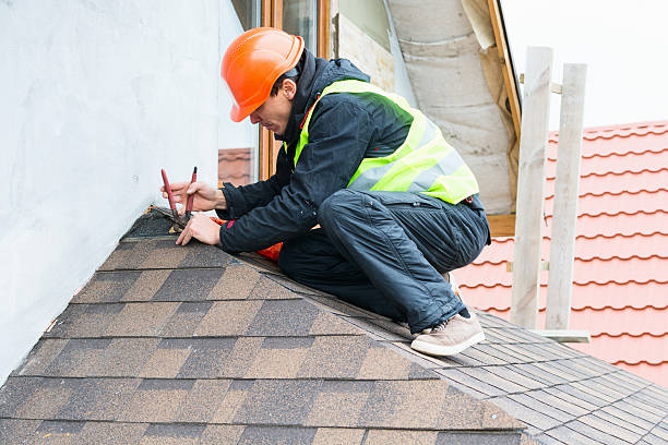 Best Roof Gutter Cleaning  in North Ridgeville, OH